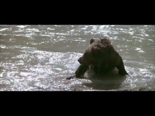 video стой до конца и не вздумай сломаться самбука беркова грей сосёт минет анал орал порно секс лига чемпионов sex