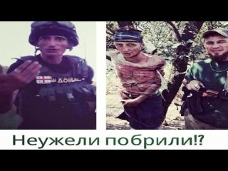 video чеченцыпоймали добермана как и обещали sex