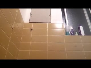 video placeholderвведите название альбома divdiv idvideo edit repeat classcheckbox video edit checkbox sex