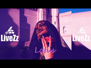 video free doja cat x shawn mendes x camila cabello type beat lotus reggaeton x pop type beat sex