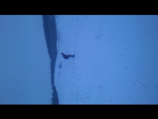 video seks mov 0436 sex