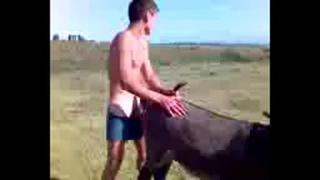 video мой гора любимый хач ебет осла sex