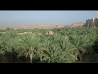 video из хф цветок тысяча и одной ночи il fiore delle mille e una notte про ослика очень секретный отрывок sex
