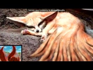video со стены девятихвостый демон лис курама под музыку skilet monster wwe hell in a cell 2009 picrolla sex
