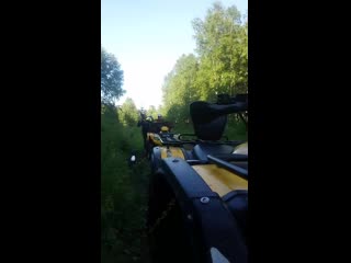 video very mov 0199 000 mp4 sex