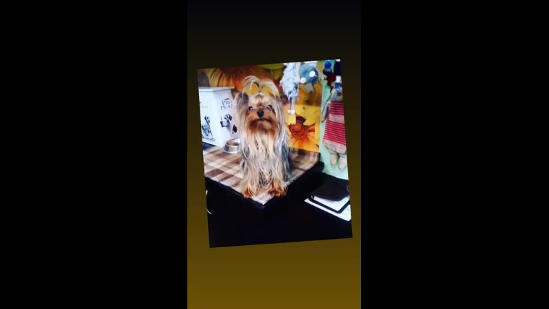 video pst vid 19871002 010414 802 mp4 sex