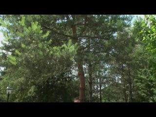video katarina hartlova 3 prowling for pud эротические массажи фильмы и актрисы 18 sex
