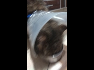 video pst vid 20180205 010414 mp4 sex