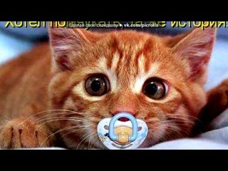 video яяяяяя под музыку внимание новинка лета 2013 imperia feat нюша натали бьянка серебро и иван дорн ани лорак макс sex