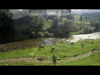 video с моей стены под музыку леся горова танок picrolla sex