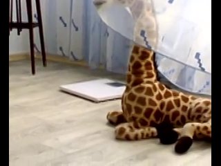 video артхаус художественное кино секс анимэ порно эмо порно смешно лох ужас страшная бабуля хочет убить свою внучку sex