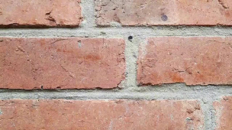 video сенсационное заявление профессора онколога нейрохирурга рамина иманова о происходящем в мире 30 ноября 2021 года в sex