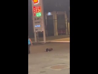 video 1драться с женщиной нечестно 2драться с карликом нечестно sex