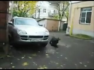 video фирменная вертушечка доказательство что не ахахх слабонерным не смотреть порно порнух sex