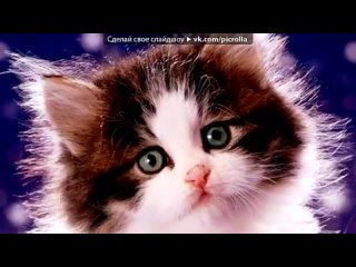video со стены друга под музыку roxette listen to your heart под фортепиано picrolla sex