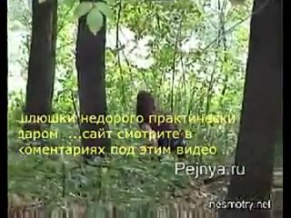 video начальник трахает секретаршу в офисе развратные сучки кастинг xxx woodman wtfpass ретро порно 3d hentai nubile sex