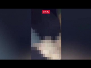 video девушка занялась оральным сексом на глазах у пассажиров в самолете sex