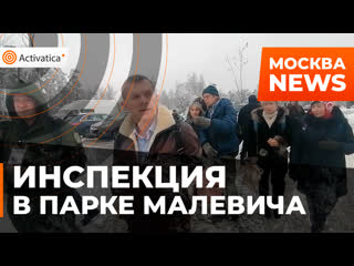 video в парке малевича прошла общественная инспекция sex