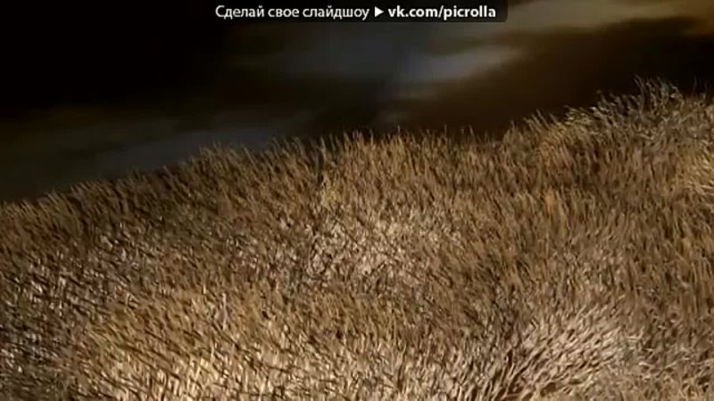video малчик под музыку песни под гитару его мама молодые очень грустная песнятакая же ситуация как и у меня было 18года sex