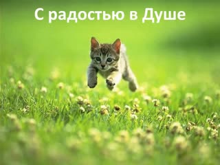 video упражнения для восстановления зрения тренируем мышцы глаз и делаем пальминг sex