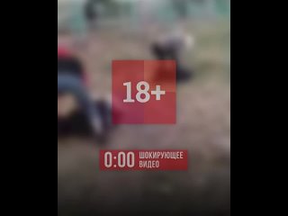 video давай не жалей его на урале компания молодые жестоко избила двоих школьников и сняла всё на видео sex