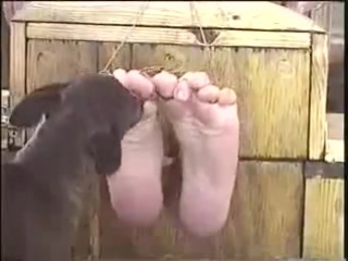 video ticklingparadise tickled to the last lick sex