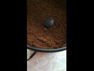 video lilo vid 20201104 093733 878 mp4 sex