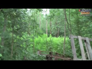 video парень с другом подвезли алику sex