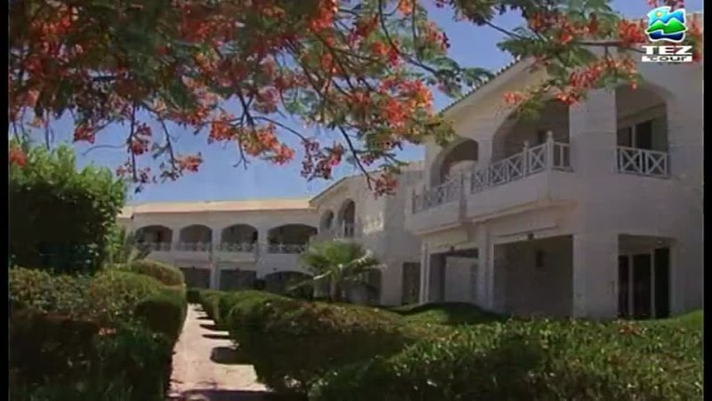 video египет шарм эль шейх отель sheraton sharm spa sex