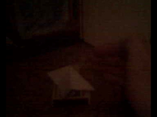 video gym mov 0000007 sex