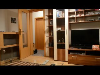 video young devotion wegen geilem blowjob zu spät zur arbeit sex