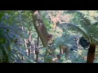 video эротический фильм зов белокурой богини ruf der blonden gottin sex