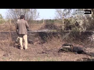 video 18убитые солдаты руины луганского аэропорта сбор трупов украина новости сегодня sex