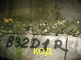 video сиси кейч для тупых и озобоченых говорю ето не порнуха как вы подумали с ув т петров sex