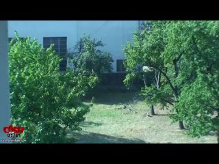 video nessa devil home video видеочат webcam вебка вирт скайп секс красивая девушка web cam sex