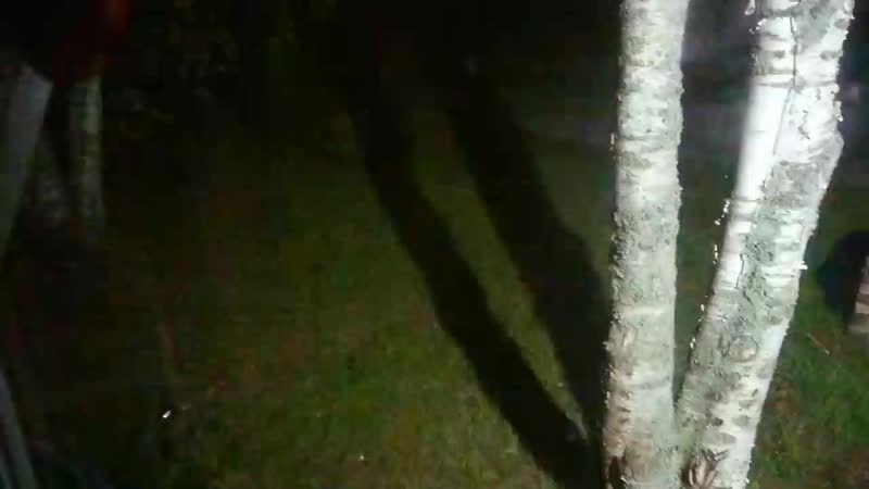 video vidio mov 0107 mp4 sex