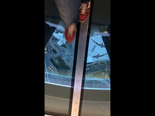 video cn tower glass floor sex