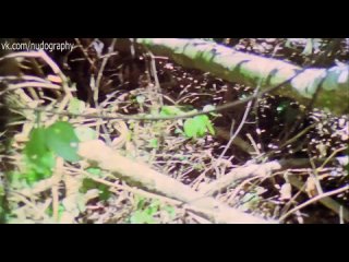 video молодые и секс франчески кьярди francesca ciardi в фильме ад каннибалов cannibal holocaust 1980 руджеро sex