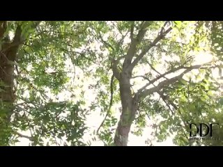 video teen эротика секс на качелях с фаллоимитатором девчушка ничего cмотреть домашнее порно видео онлайн бесплатно sex