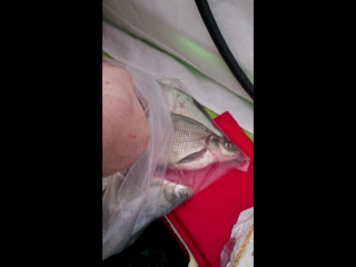 video teenivideohdnew mov 0046 sex