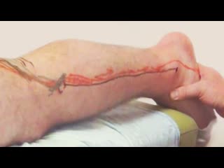video артикуляция суставов в массаже диагностика и лечение с помощью артикуляции sex