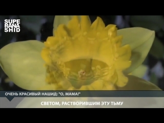 video очень красивый нашид о мама ᴴᴰ ya ummi нашиды с переводом mp4 sex