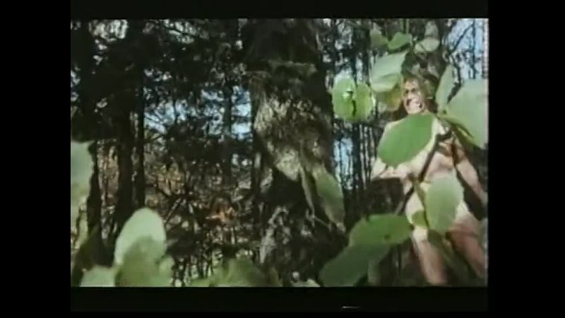 video гензель и гретель заблудились в лесу 1970 sex