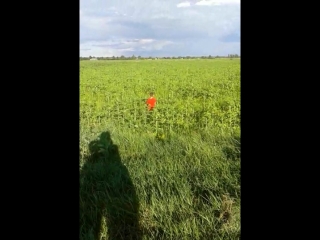 video отдых в поляне моя сестра вика и братик тёмочка sex