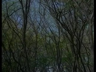 video белоснежка и 7 гномов 18 сказка для взрослых sex