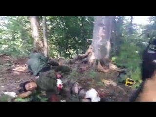 video русские и чеченцы в днр попали в засаду всу sex