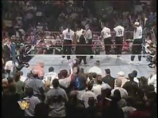 video wwf wrestlemania 11 1995 sex