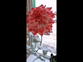 video ঘ vid 42760602 010414 518 mp4 sex