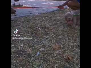 video video vid 27220625 070915 750 mp4 sex
