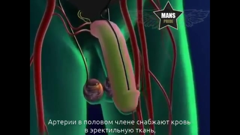 video что такое импотенция и слабая эрекция sex